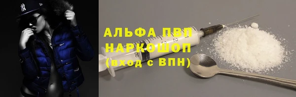 сатива Володарск