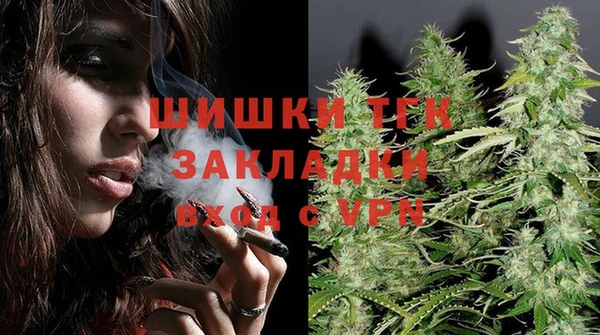 сатива Володарск