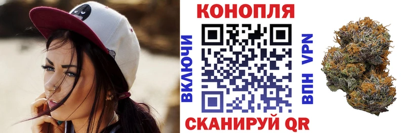 Шишки марихуана Amnesia  Купить закладки  Ахтубинск 